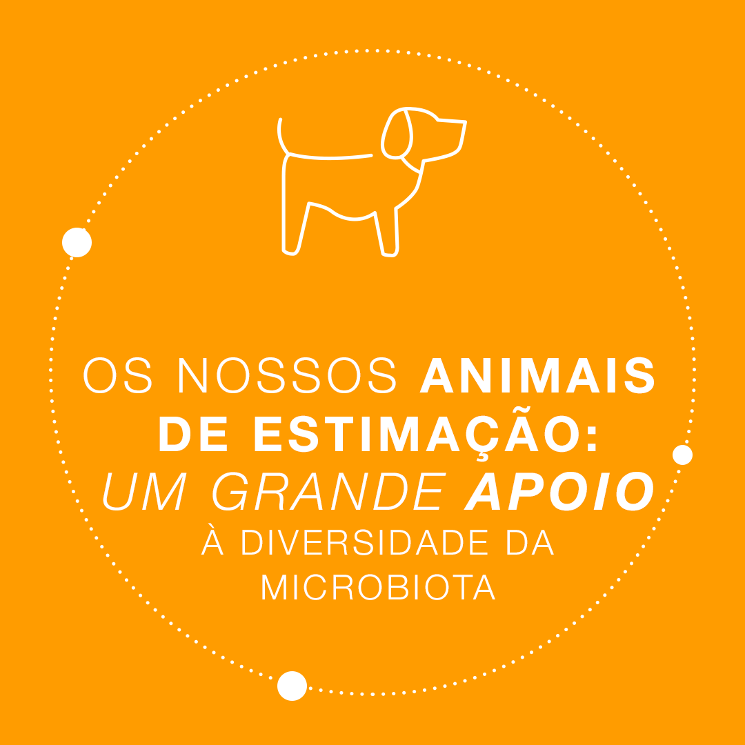 Sabia que o cão é o melhor amigo da sua microbiota?